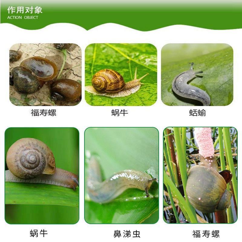软体虫药隆特6%四聚乙醛杀蜗牛药鼻涕虫福寿螺克星杀虫剂