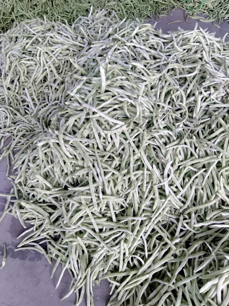 菏泽市成武县白不老芸豆一手货源产地直发量大☎️联系