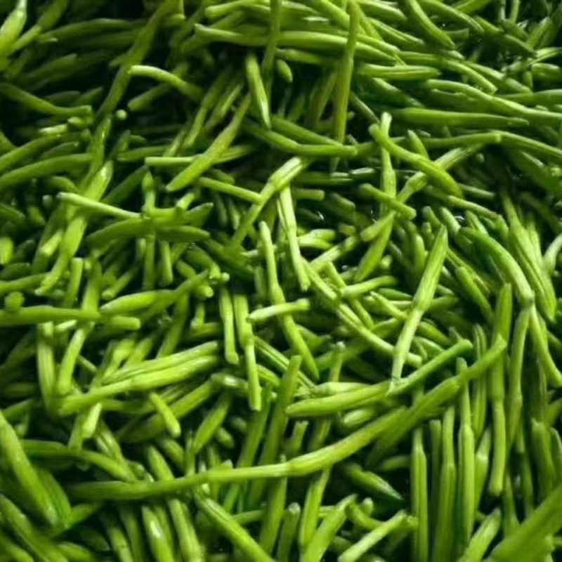 特菜批发零售‘