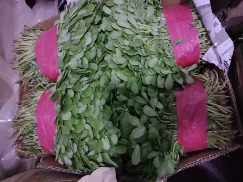 特菜批发零售‘