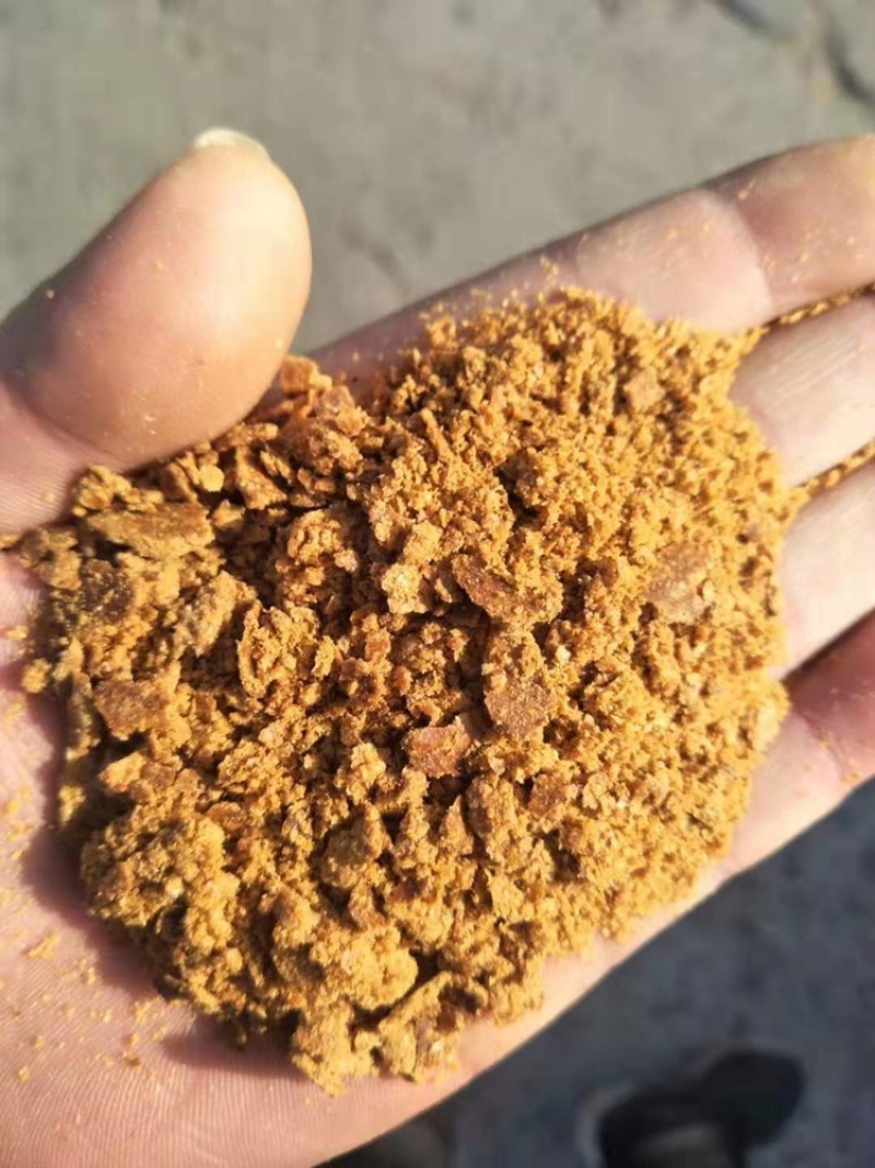 玉米油饼，玉米胚芽饼适用于各种饲料添加代替玉米降低成本。