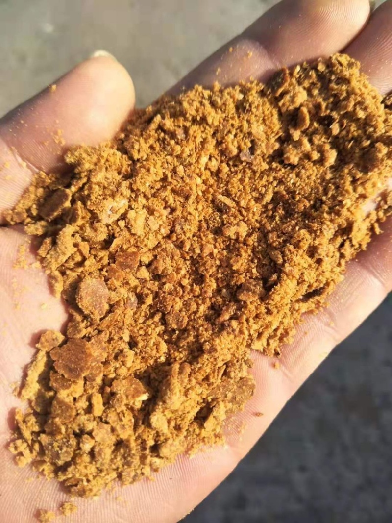 玉米油饼，玉米胚芽饼适用于各种饲料添加代替玉米降低成本。