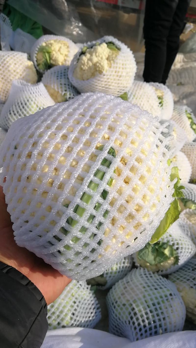 本地有机花菜