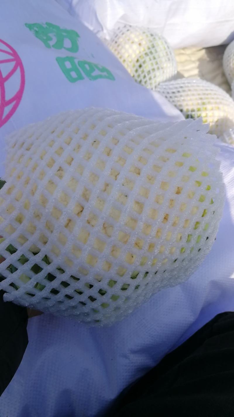 本地有机花菜