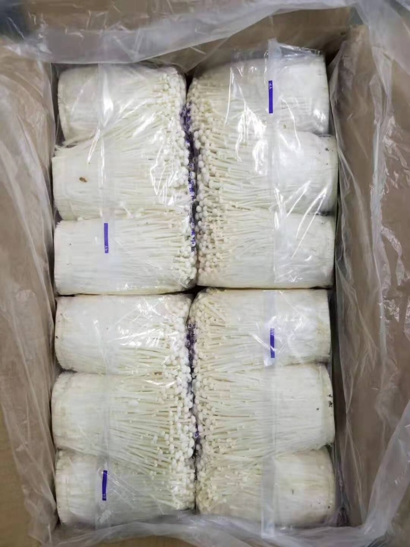 金针菇大量供应平台、****、无限量供应平台