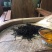 正宗英德红茶，岩茶（古树红茶），2021春茶，高品质好茶