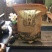 正宗英德红茶，岩茶（古树红茶），2021春茶，高品质好茶