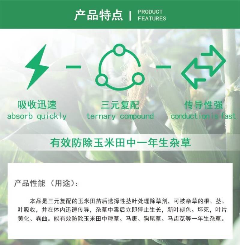 33%烟嘧磺隆硝磺草酮莠去津玉米田苗后安全除杂草除草剂