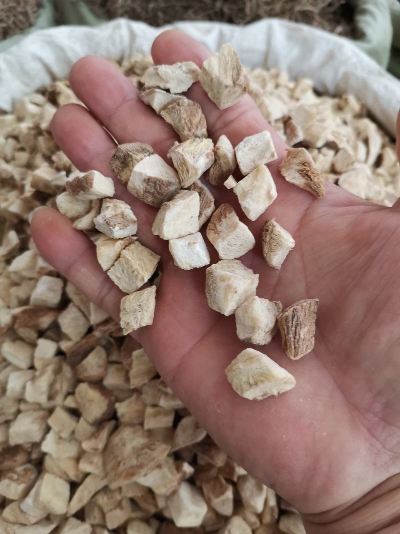 菊苣根，中药材，货原充足，欢迎来电咨询下单釆购。