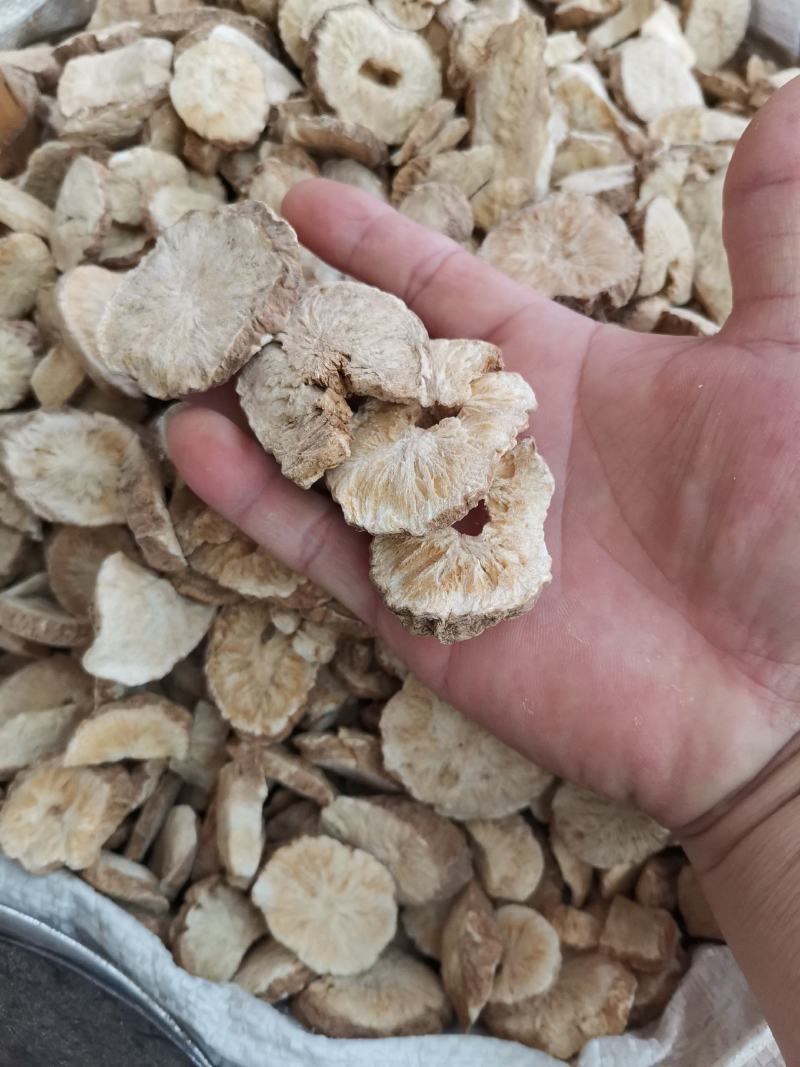 菊苣根，中药材，货原充足，欢迎来电咨询下单釆购。
