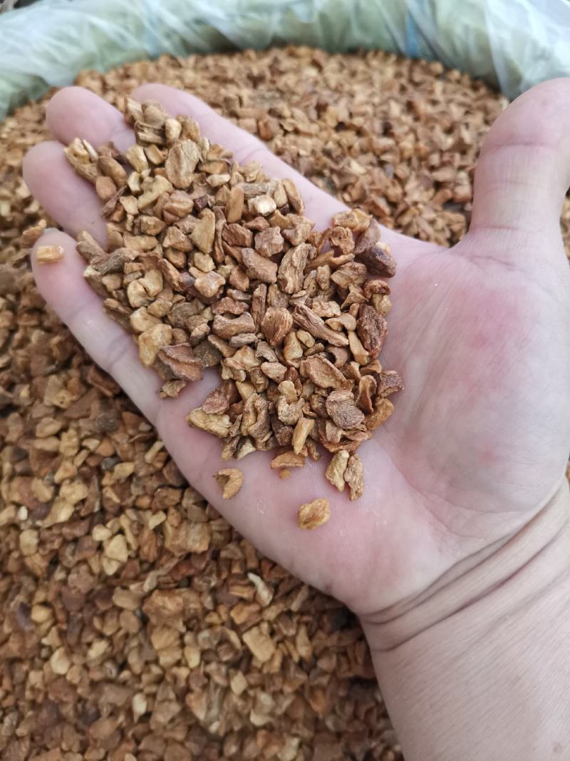 菊苣根，中药材，货原充足，欢迎来电咨询下单釆购。