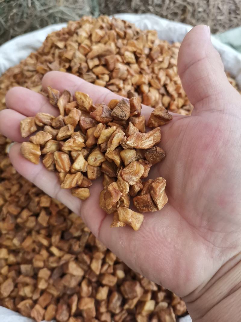 菊苣根，中药材，货原充足，欢迎来电咨询下单釆购。