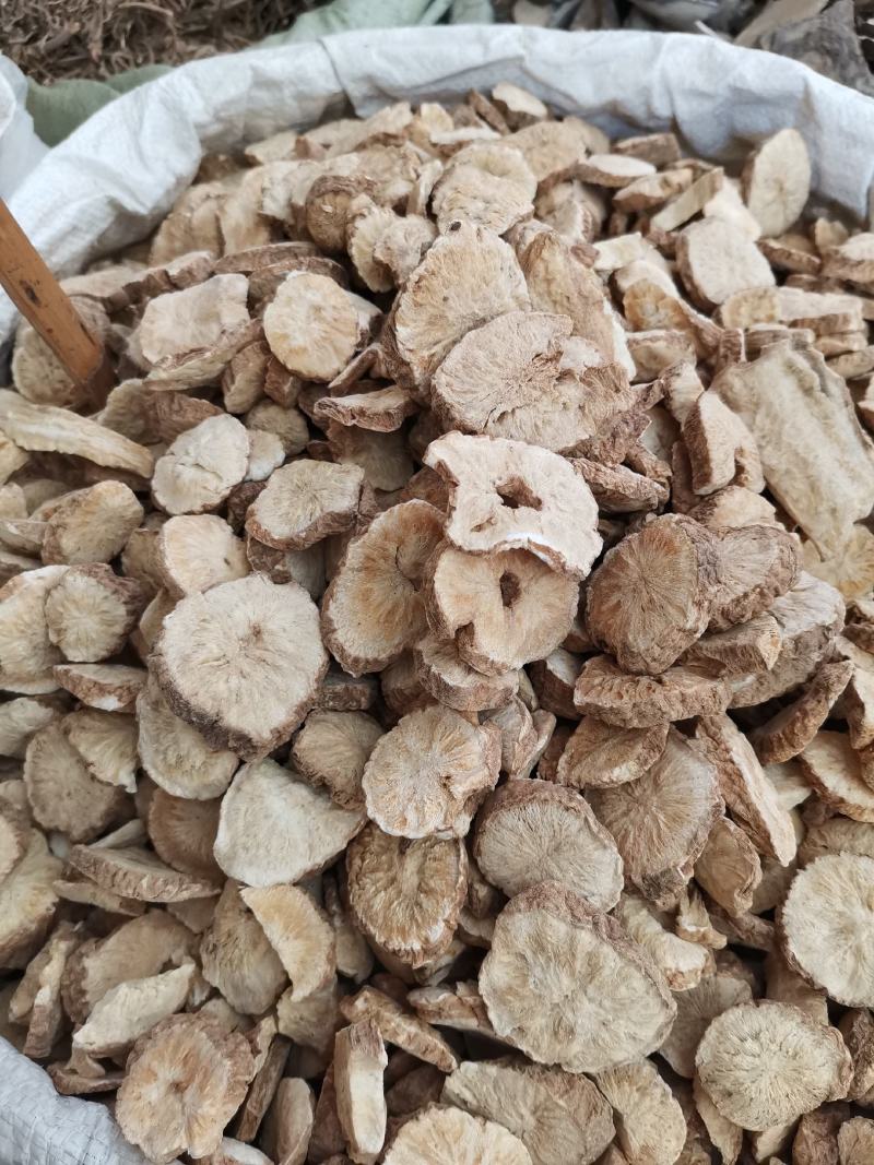 菊苣根，中药材，货原充足，欢迎来电咨询下单釆购。