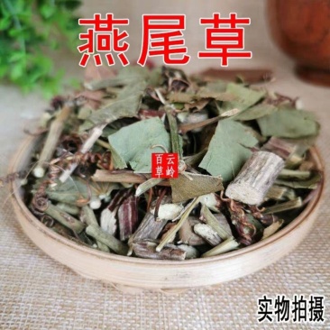 云南野生中药材燕尾草燕尾槽剪刀草包邮