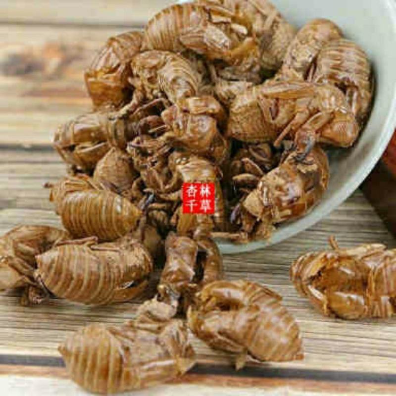 中药材蝉蜕蝉衣蝉壳虫蜕虫退爬了猴壳知了皮包