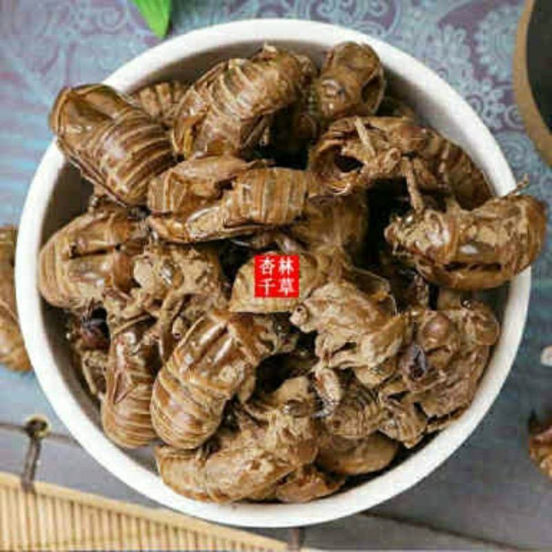 中药材蝉蜕蝉衣蝉壳虫蜕虫退爬了猴壳知了皮包