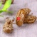 中药材蝉蜕蝉衣蝉壳虫蜕虫退爬了猴壳知了皮包