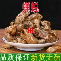 中药材蝉蜕蝉衣蝉壳虫蜕虫退爬了猴壳知了皮包