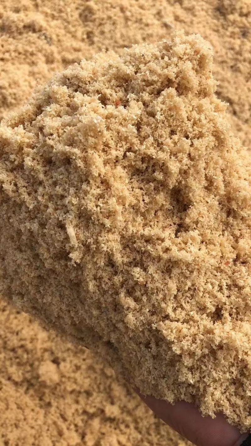 种植蘑菇专用都是大叶树。