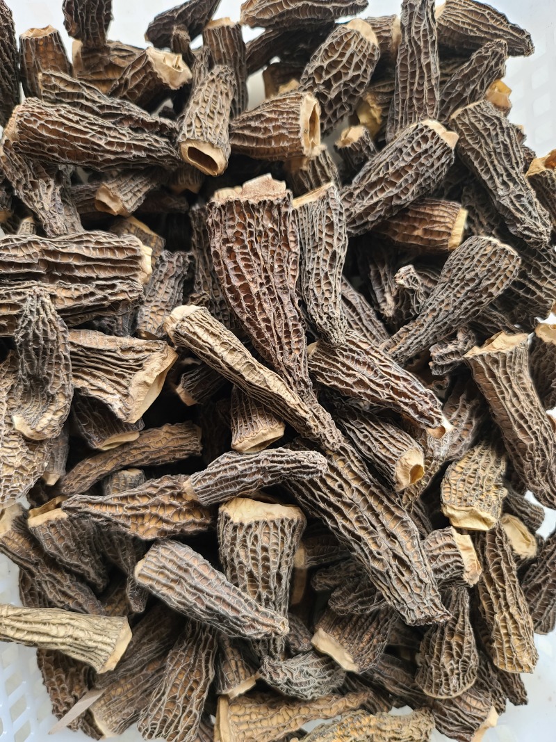 羊肚菌干货干品