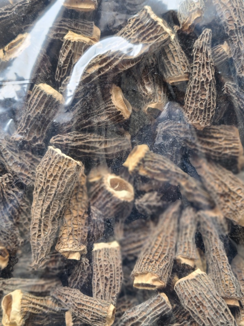 羊肚菌干货干品