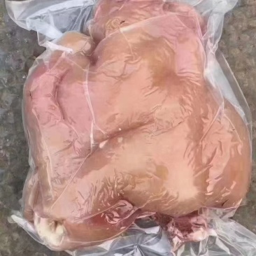 熟牛头肉
