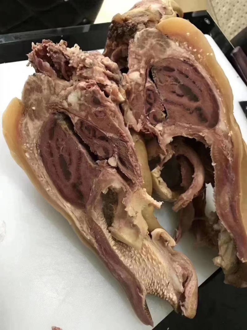 熟牛头肉