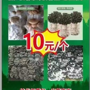 菌菇包，库房大量现货供应，跑江湖，地摊批发