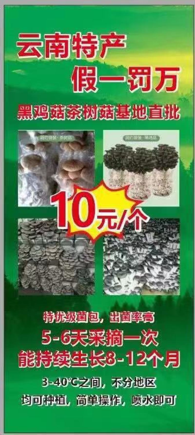 菌菇包，库房大量现货供应，跑江湖，地摊批发
