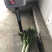 红叶青皮香莴笋产地直供种植基地专业合作社