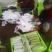 精品西葫芦，欢迎超市对接，量大品质好，全陆地西葫芦