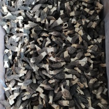 羊肚菌
