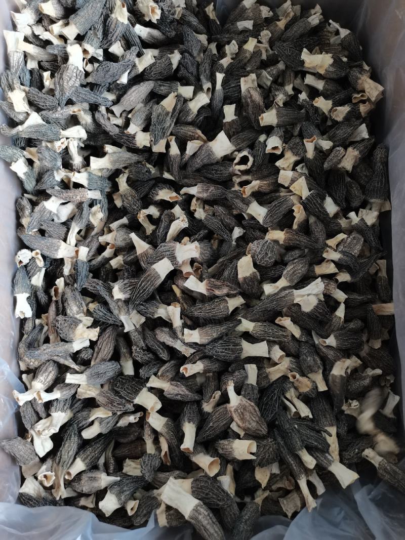 羊肚菌