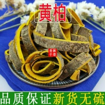 野生中药材黄柏川黄柏黄柏皮檗皮包邮