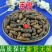 云南野生中药材香附香附子香头草雀头香回头青包邮