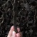 (正品无硫)中药材骨碎补天然无硫新货骨碎补石岩姜
