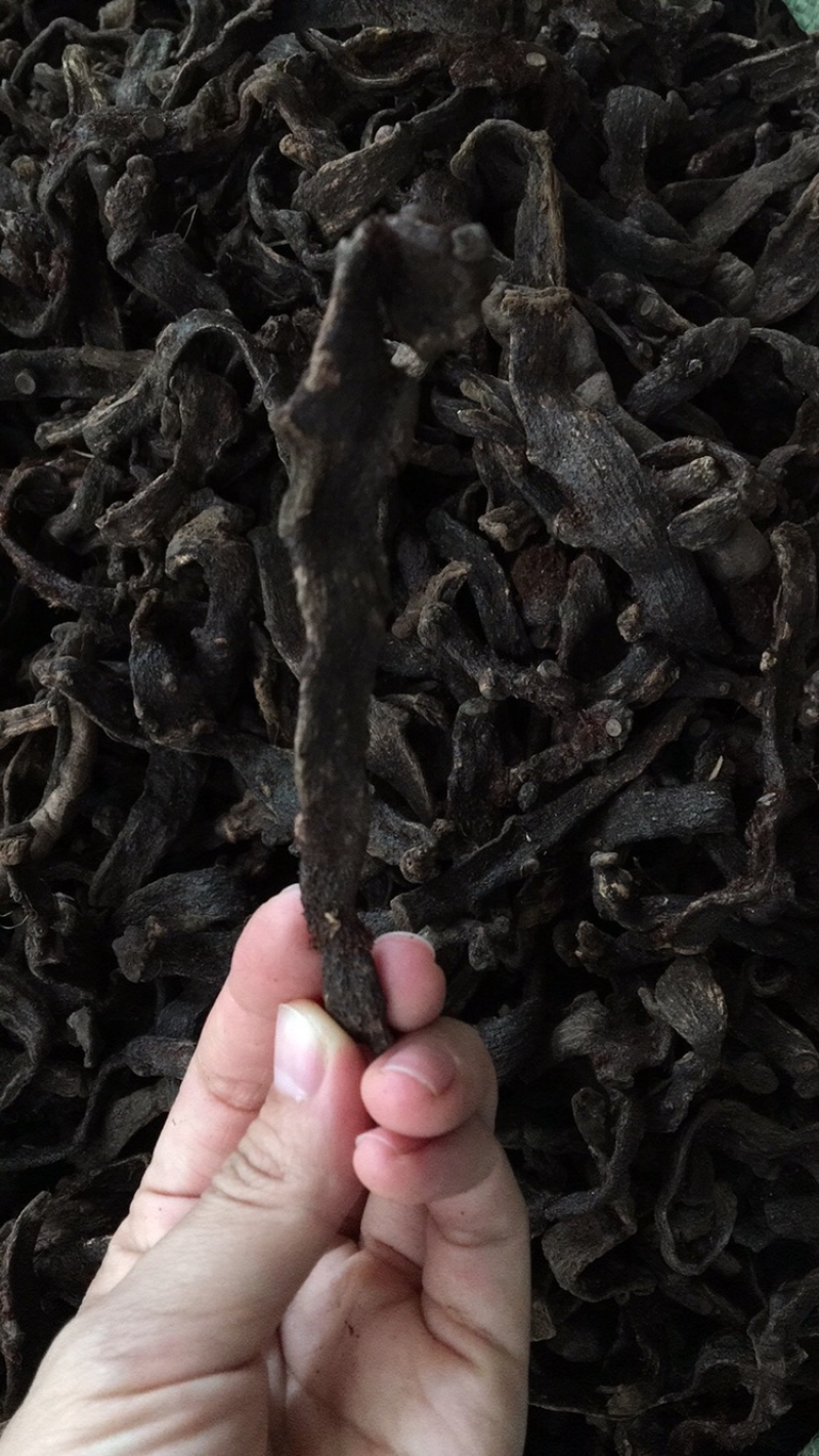(正品无硫)中药材骨碎补天然无硫新货骨碎补石岩姜