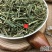 新鲜干货中药材柴胡柴胡苗散装包邮