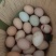 土鸡蛋
