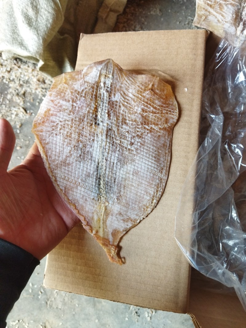 鱿鱼干纯肉淡干带头无头鱿鱼干