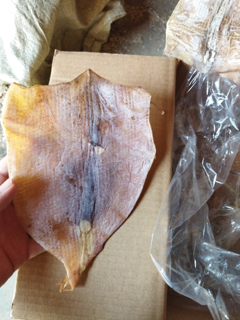 鱿鱼干纯肉淡干带头无头鱿鱼干