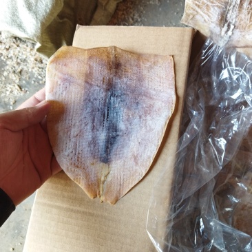 鱿鱼干纯肉淡干带头无头鱿鱼干