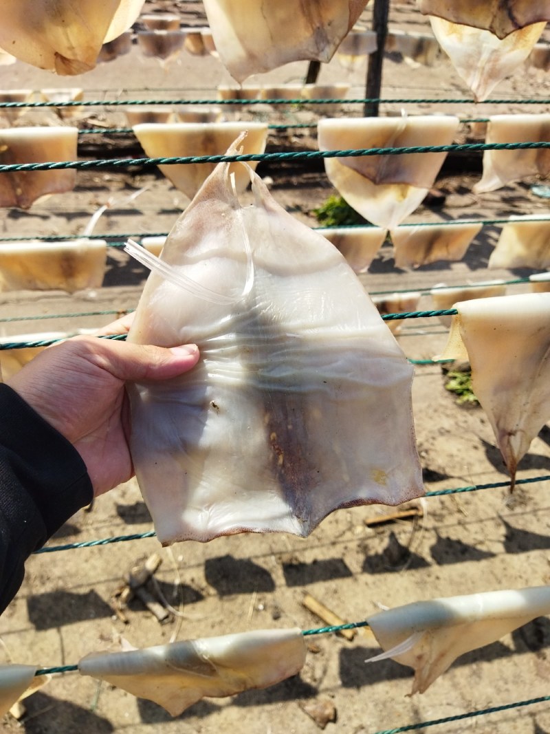 鱿鱼干纯肉淡干带头无头鱿鱼干