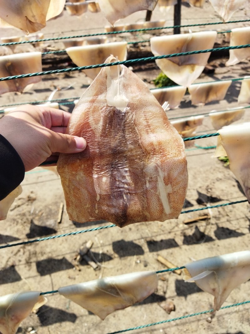 鱿鱼干纯肉淡干带头无头鱿鱼干