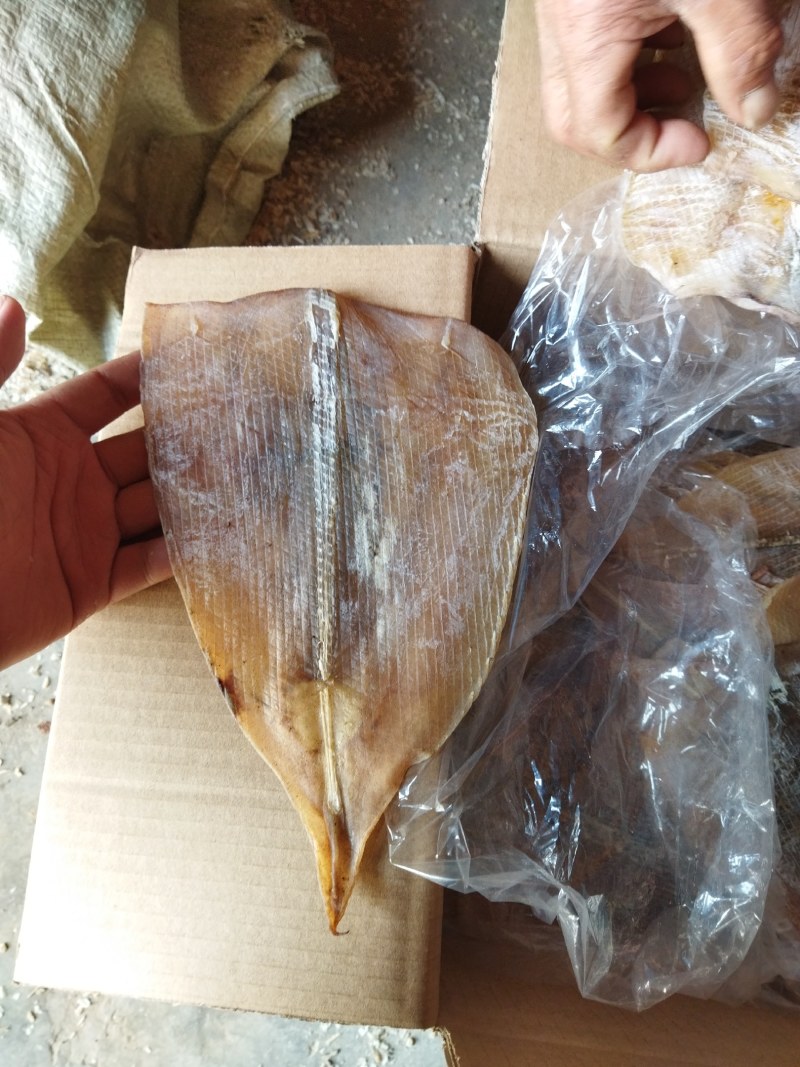 鱿鱼干纯肉淡干带头无头鱿鱼干