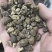 光慈姑山慈菇光慈菇白茨菇毛慈菇光茨菇冰球子