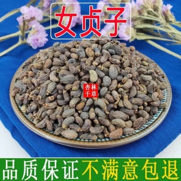 云南野生中药材女贞子成熟饱满冬青子包邮