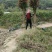 福建漳州基地丛生红千层欢迎全国老板前来考察洽谈