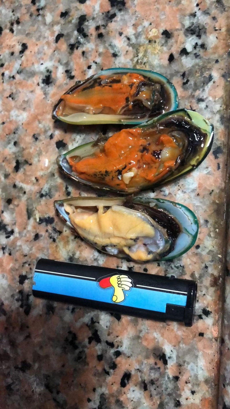 正宗台山青口