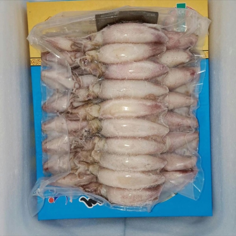 精品海鲜海兔全籽海兔笔管鱼半子海兔